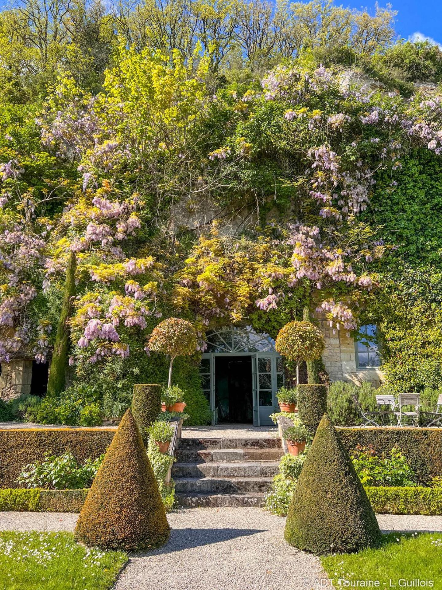 Manoir Des Basses Rivieres Bed & Breakfast Rochecorbon Room photo